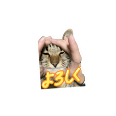 RaiFam_20260330235133