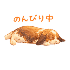 TOSHINORI_20260330234854