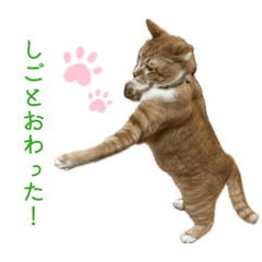 kanokun_20260330235545