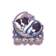 Canadian Border Collie