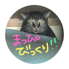 mapiko
