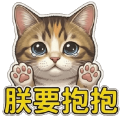 白爛貓球♥貓奴喵喵