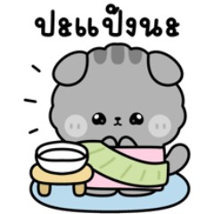 เฉาก๊วย แมวน้อยน่ารัก