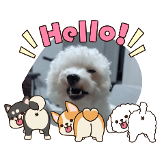 kaikun_20260331054711