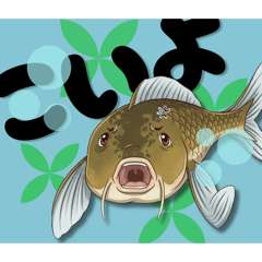 siokoshou_20260331124954