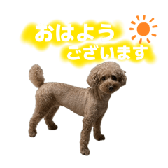 satoshi_20260331124513