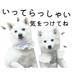 わたしんちだよー。