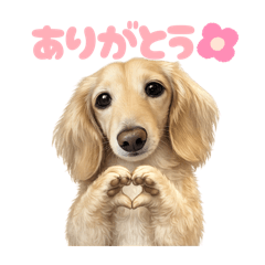 DOG STAMP ORDER_20260331112454