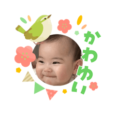 musumechi_20260331134546