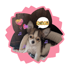 potatochip_20260328092120