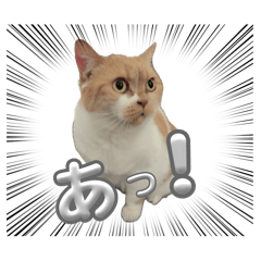 seikun69_20260331142023