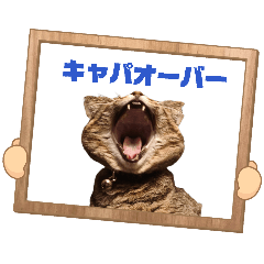 Lydia_20260331142722