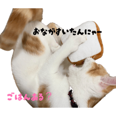 ponkotu_20260331143033