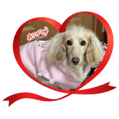 T-rururu_20260331141612