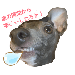 doudou_20260331120035