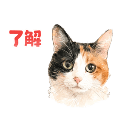 puku puku green_20260331120442