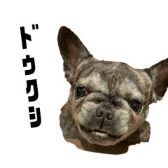 channe_20260331120801