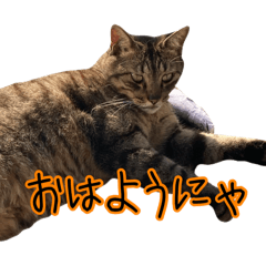 Hiroto_20260331115527