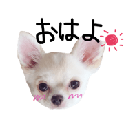 ringo&mikannakayoshi