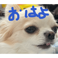 emapen_20260331165922