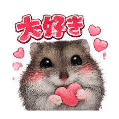 hitomi_20260331153448