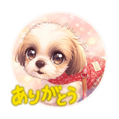 4dogs_20260328171927