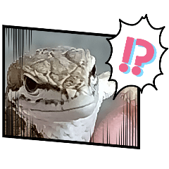 guwatti_20260331153258