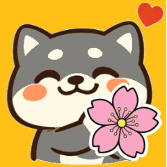 Shiba Inu Ko-chan, Osaka dialect, Spring