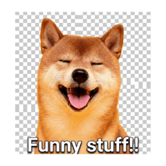 Shiba Inu Stamp Set #2