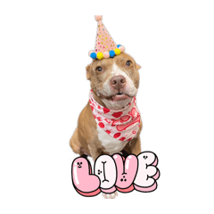 riekichi_20260331162050