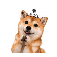 masakichi0704_20260331190322