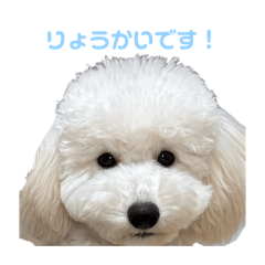 umiuyu_20260331163934