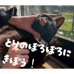 za-ne_20260331190918