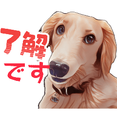 nyako_20260331190949