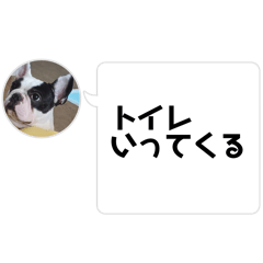 RINGOAME_20260331121636