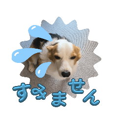 okiku_20260331172517