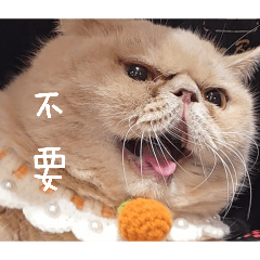 卡車米