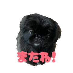 maggie_20260331193658