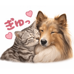 Marin2525_20260331193641