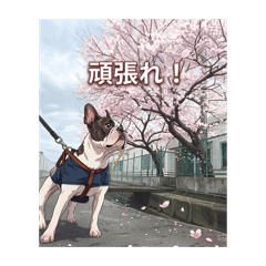 Office MIYABI GOL