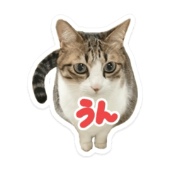 SUNAGIMO_20260331135825