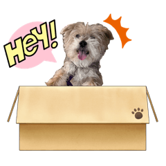 Chloe.S_20260331140216