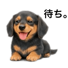 Mitsuboshi_20260331155336