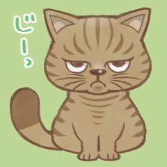 Unbothered Tabby