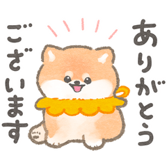 柴犬さんの敬語スタンプ