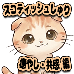 Shuri : Healing Scottish Fold Relaxed