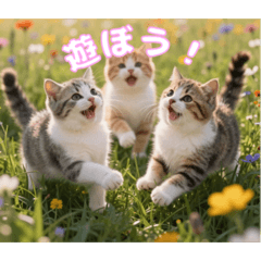 Yuka_20260330191707