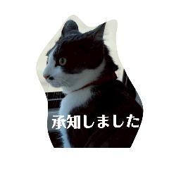 SACHIKO_20260331144639