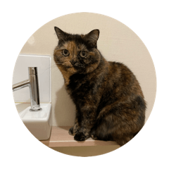 yoshiha_20260331175744