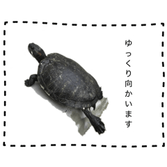 T_20260331205029